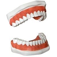 Dentures & Partial Dentures